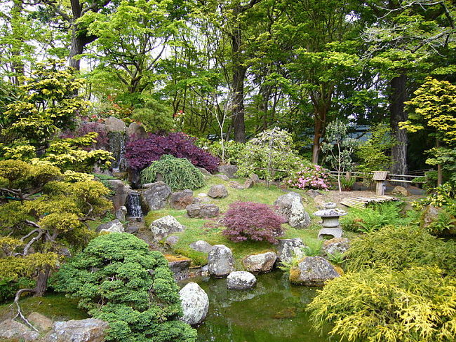 A beautiful Japanese garden requires dedication, planing and hard work