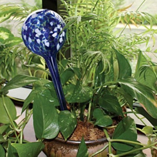 There are many delightful glass bulbs that can be used as in-pot water reservatures 