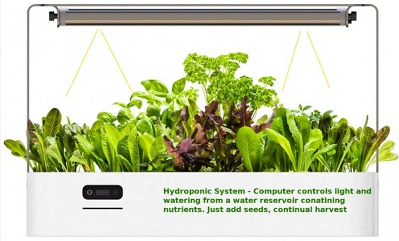 High-Tech mini hydroponic garden units are available that have computer controlled watering and lighting systems