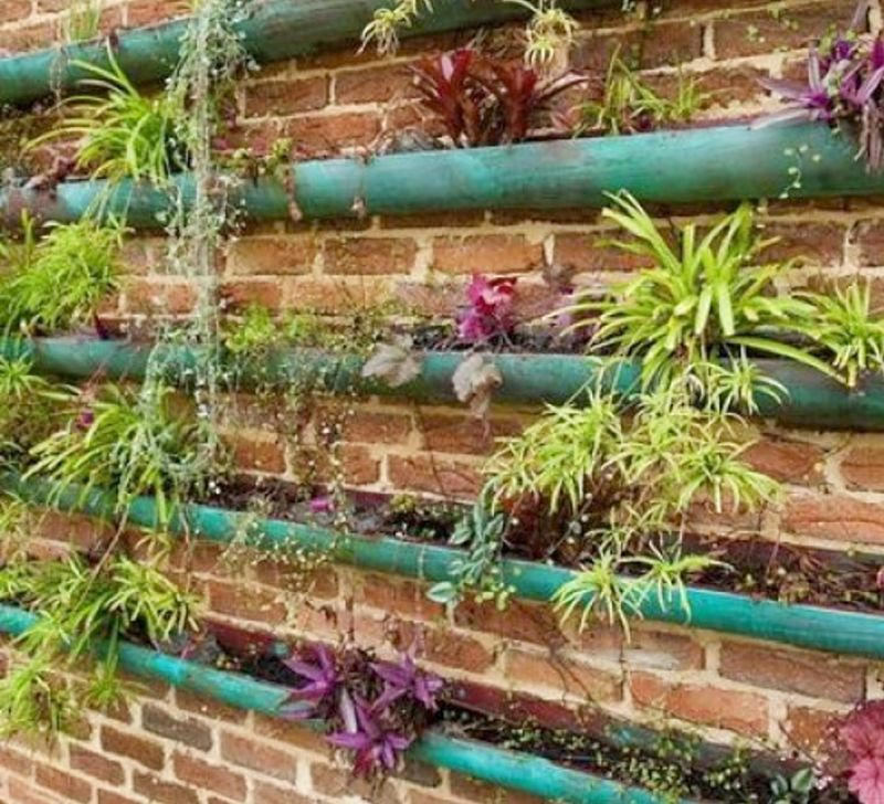 Large gardens can be attached to walls and fences saving space on the ground 