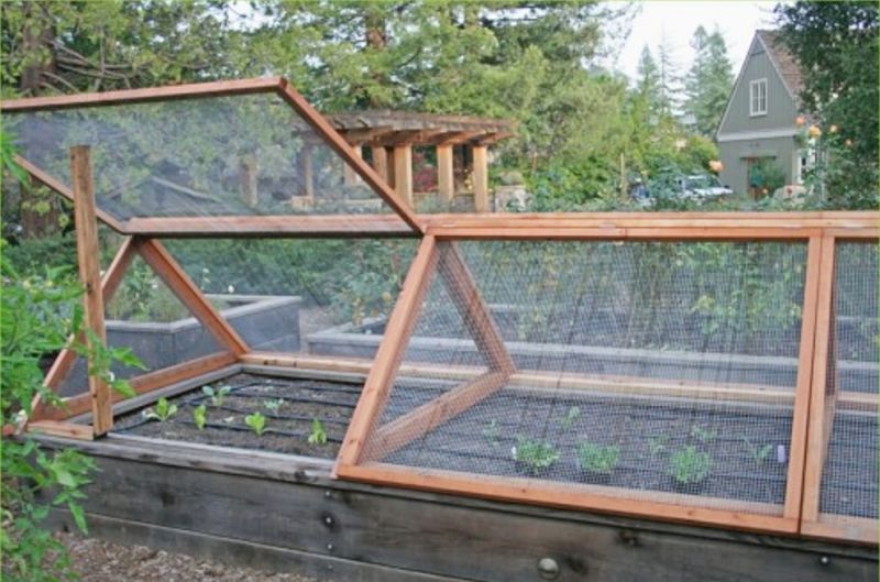 Frames with glass or plastic sheeting over raised beds provides optimal growing conditions and saves on water.