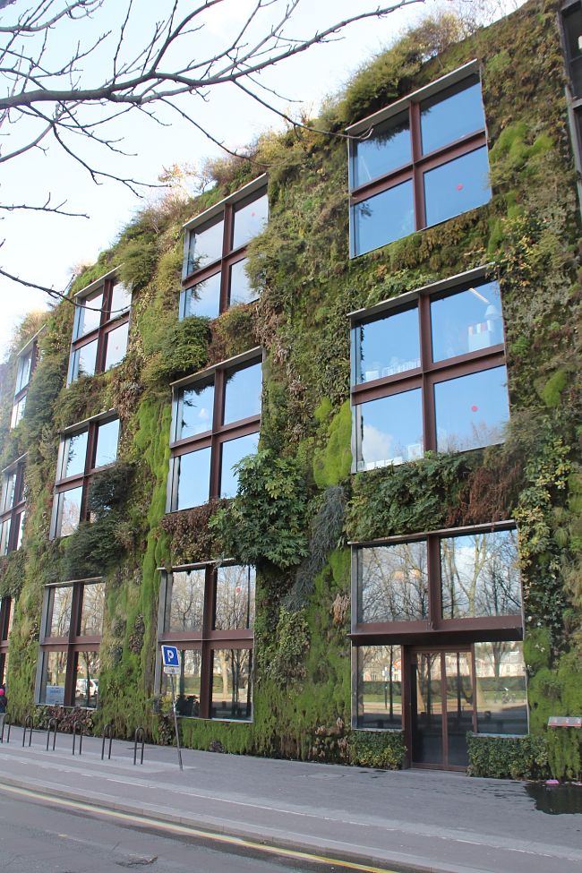 Vertical gardens can be used to clad walls and roofs as a design element