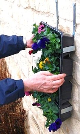 You can attach trays with in soil support to walls for a delightful display of vegetables and flowers