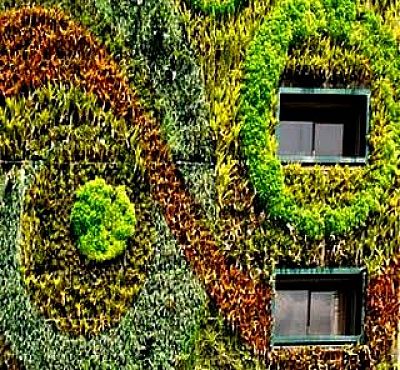 Vertical gardens can create a design feature on a wall - very attractive!