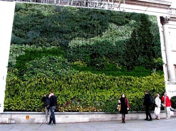 Vertical gardens attached to walls can be large and very elaborate. They can be used to grow vegetables vertically